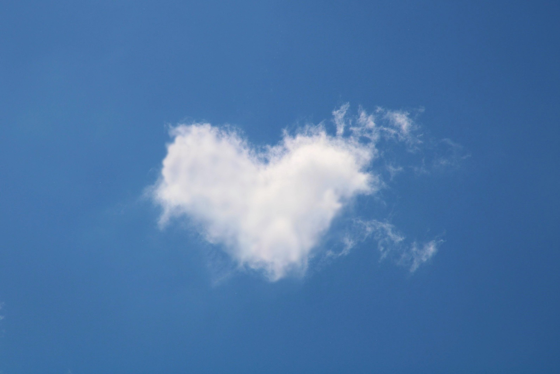 https://www.verwaiste-eltern.de/wp-content/uploads/2026/09/kranich17-cloud-5055011_1920.jpg
